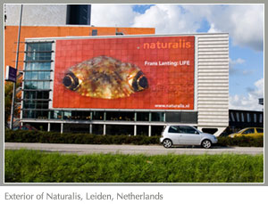 LIFE Exhibit, Naturalis