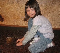 Right click to save large file